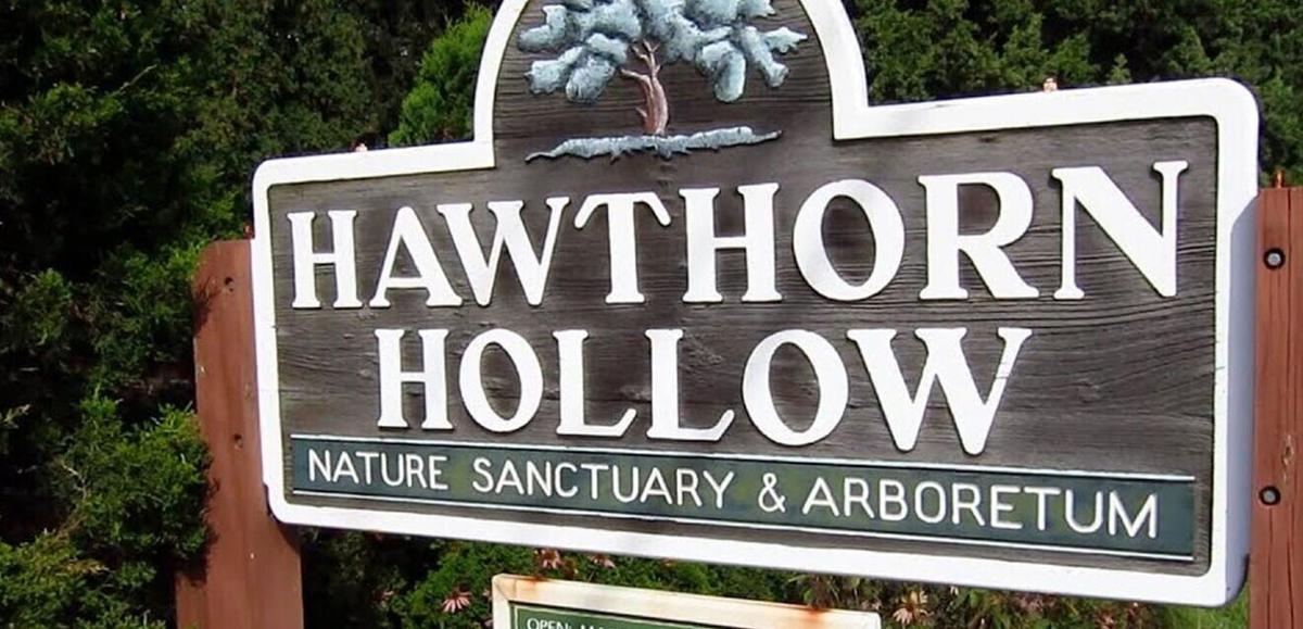 Hawthorn Hollow sign.jpg