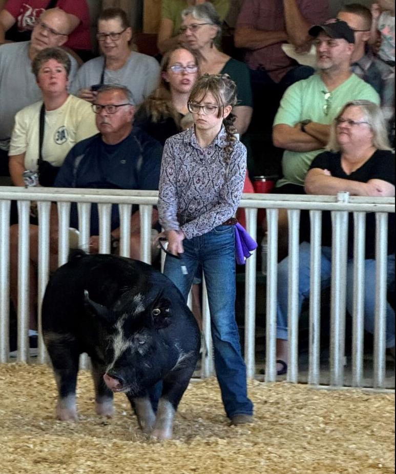 Junior Swine competition - 3rd Place