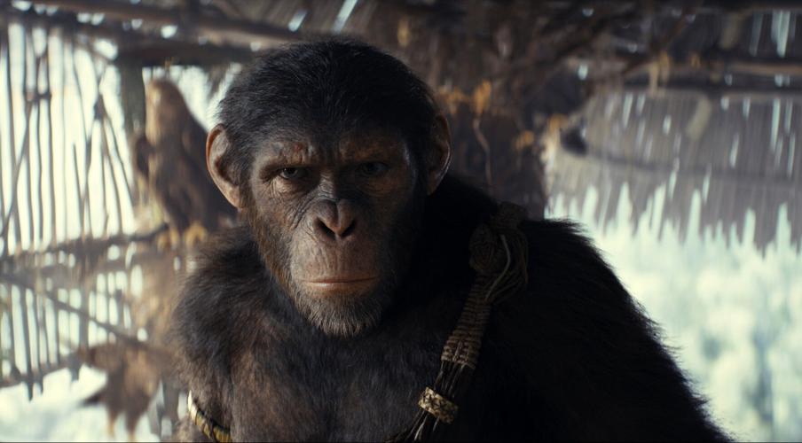 Film Review - Kingdom of the Planet of the Apes
