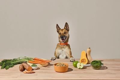 What ingredients to look for in fresh dog food