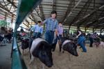 KENOSHA COUNTY FAIR