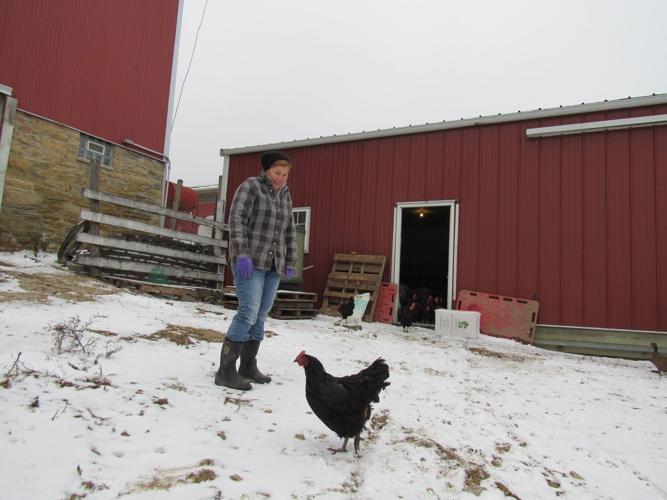 Driftless concerns over proposed transmission lines and towers