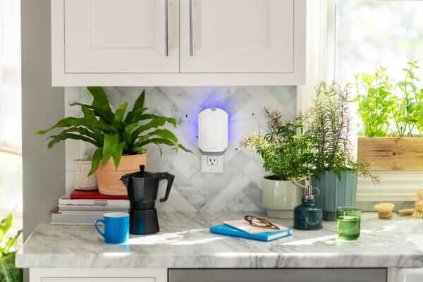 Spring Cleaning Your Kitchen? Here's How to Keep Bugs Out