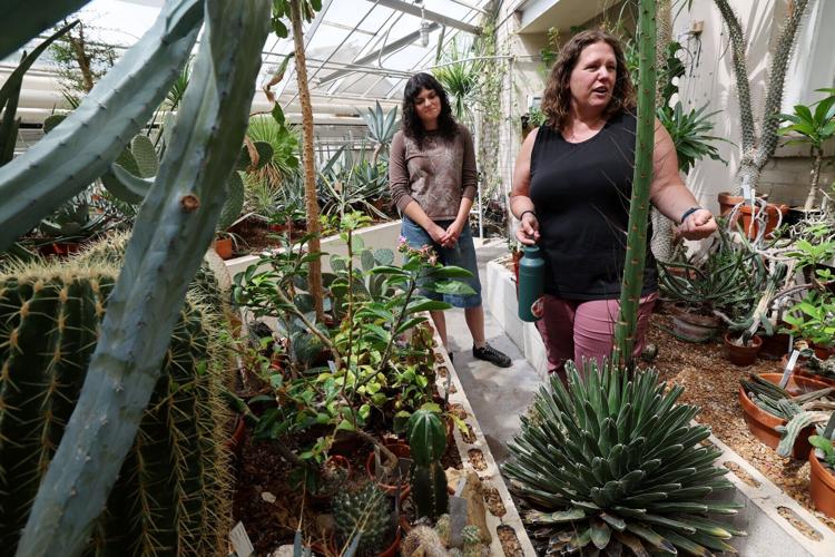 Plant at UW-Madison has death bloom