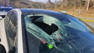 Smashed Windshield-Cat Carcass