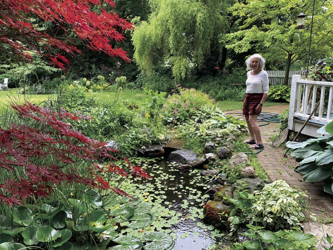 Surrounded by nature