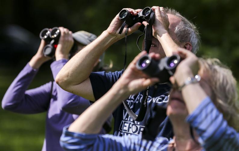 Up in the air, it's a bird!