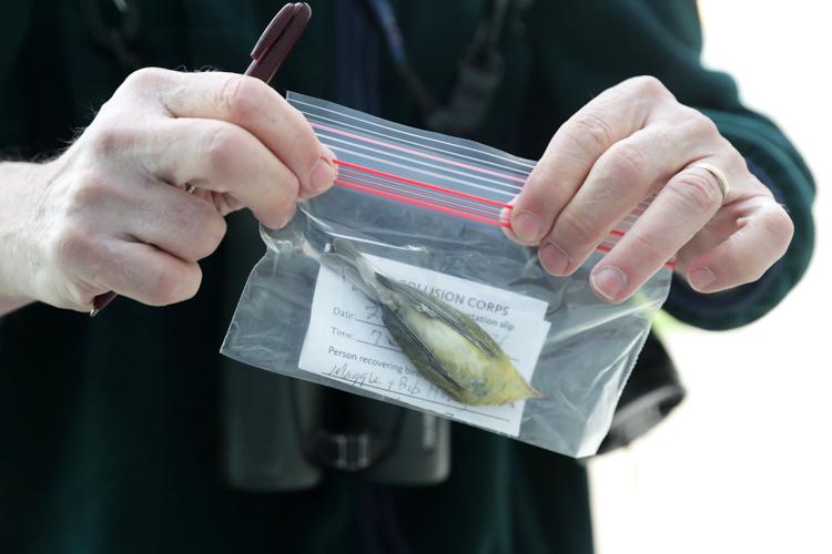 092421_collisioncorps_02-09242021122356