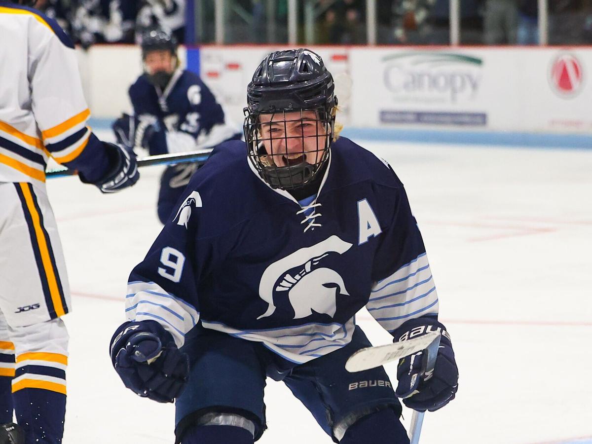 030625-statehockeyMcFarlandTomahawk-0513.jpg