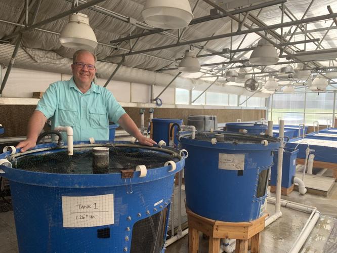 Larry Plapp stands next to a fish tank that is used for agricultural study at Badger High School
