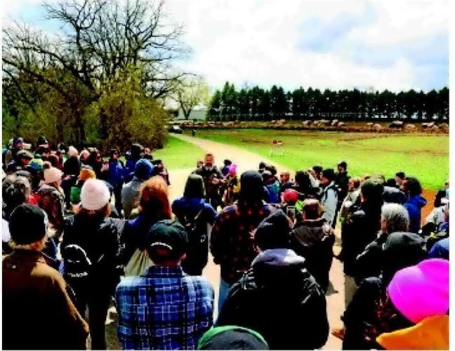 Animal rights activists decry police response