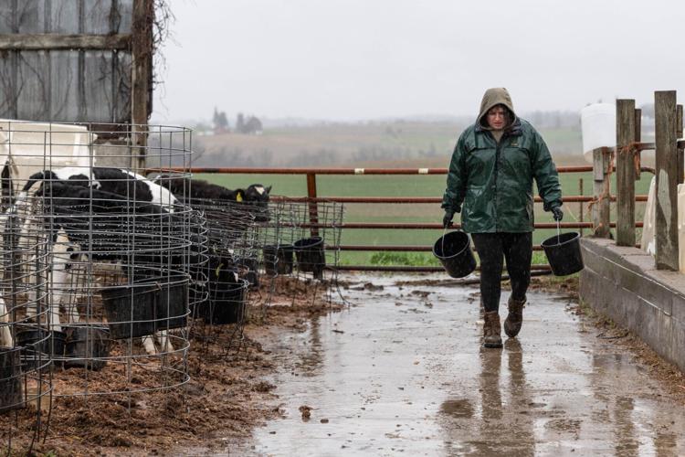 Photo Story: Wisconsin's young dairy farmers