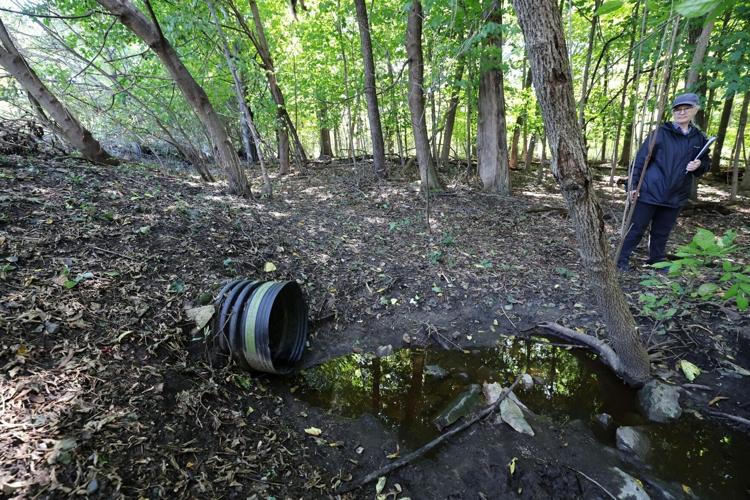 UW-Madison Lakeshore Nature Preserve proposed service road