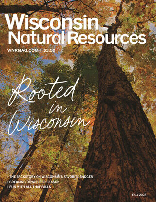 Wisconsin Natural Resources magazine announces holiday sale