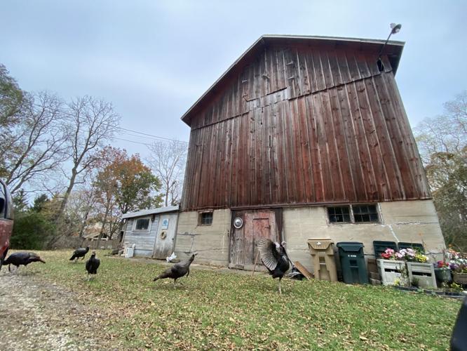Old Sauk Road farm redevelopment