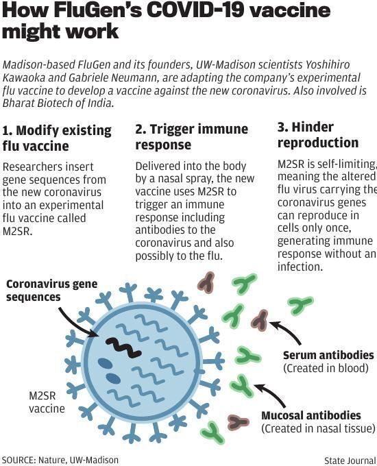 FluGen's COVID-19 vaccine