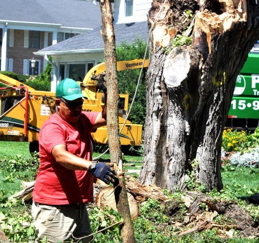 Juan Esquivel of Power Tree Removal & Landscaping, Inc. in Harvard, Illinois