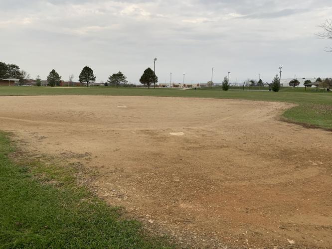 Geneva Lakes Family YMCA plans to renovate ballfields to be shaped like diamonds night lightbulbs