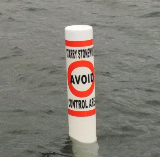 State to monitor chemical treatments on invasive plant species