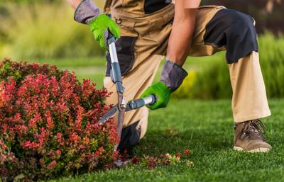 Garden tools