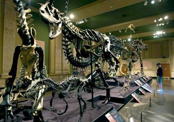 Dinosaur Discovery Museum