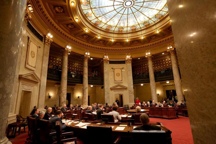 State Capitol Senate Chambers, Cap Times generic file photo (copy) (copy) (copy)
