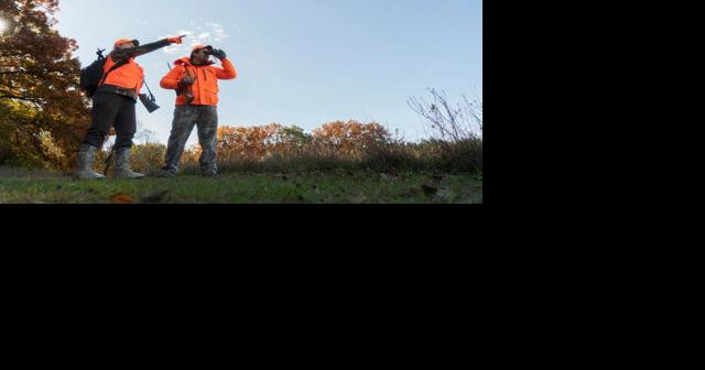 Many hunting and trapping seasons open in October - Vimarsana News