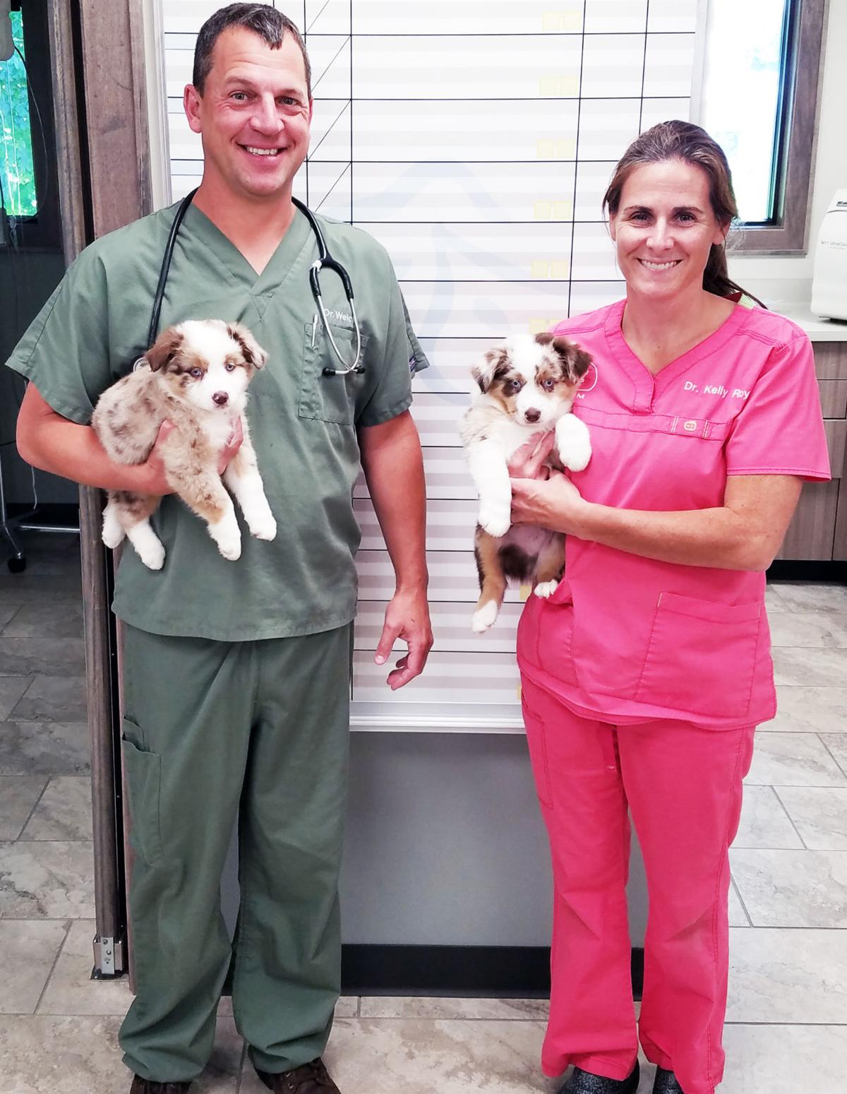Cat Rescue A Home For All Geneva Lake West News Lakegenevanews Net