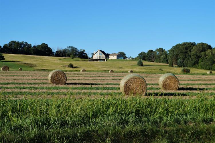 Harvested round hay bales in a field near Potter and Kearney roads (Rustic Road 85) in the Town of Spring Prairie