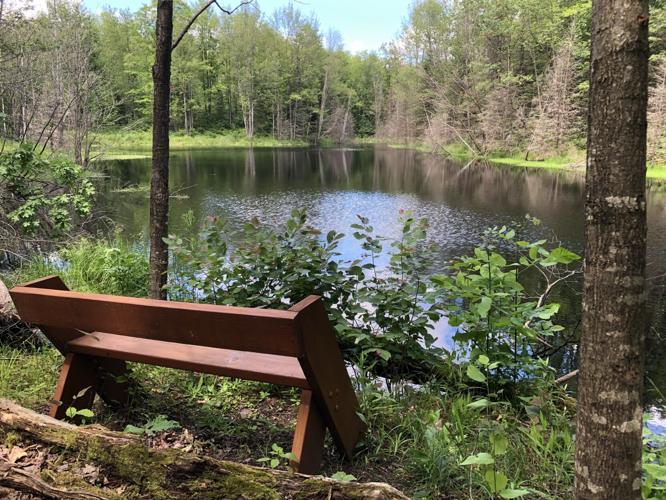 Ice Age Trail bench