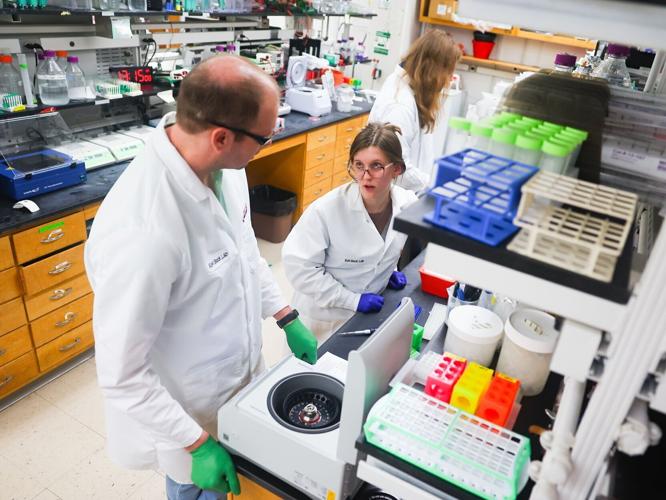 UW-Madison professor Robert Kirchdoerfer's lab