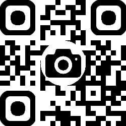 NewsVu: IN PHOTOS & VIDEOS: Tornado in Monroe County