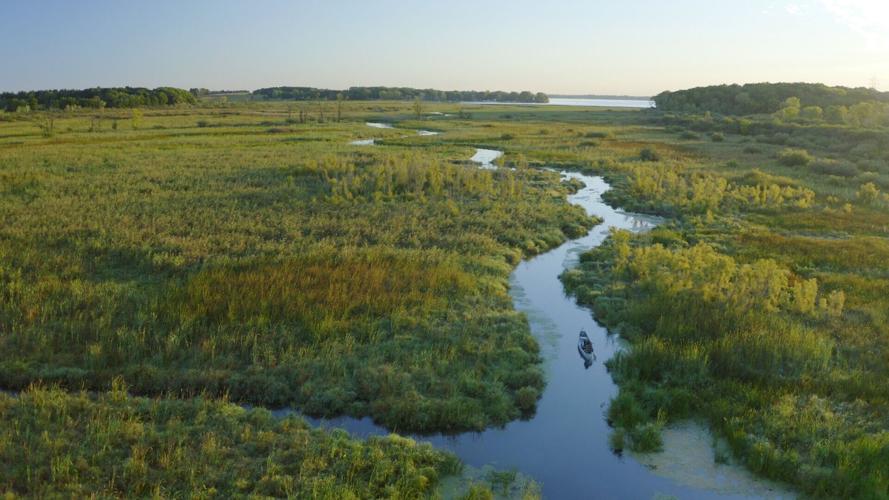 WaubesaWetlands_2.jpg