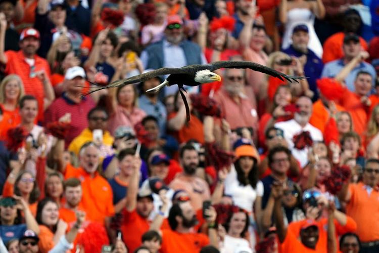 LSU Auburn Football