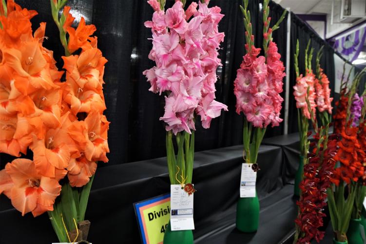 Grand Champion Hall at the 2022 Wisconsin State Fair