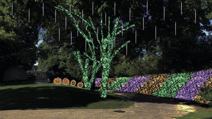 Halloween Glow 2020 at Racine Zoo