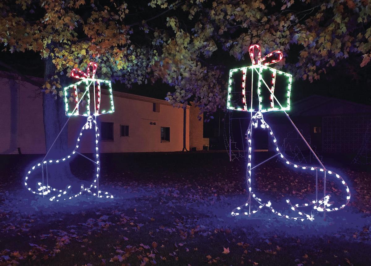 Christmas Lights Racine Zoo 2021
