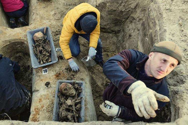 Germany WWII Fallen Soldiers