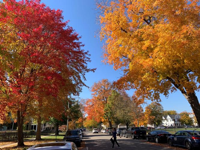 Fall colors in Maple Park Historic District