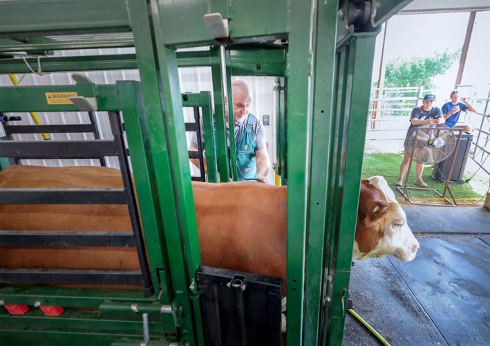 Wisconsin veterinary shortage