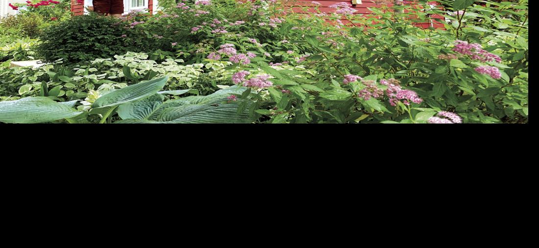 Welcome to 324 Sage St.