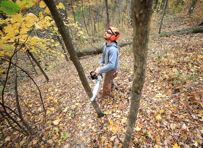 Resilient Lands 05-10282020101731