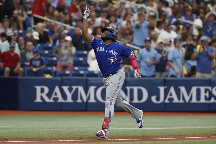 Blue Jays Rays Baseball