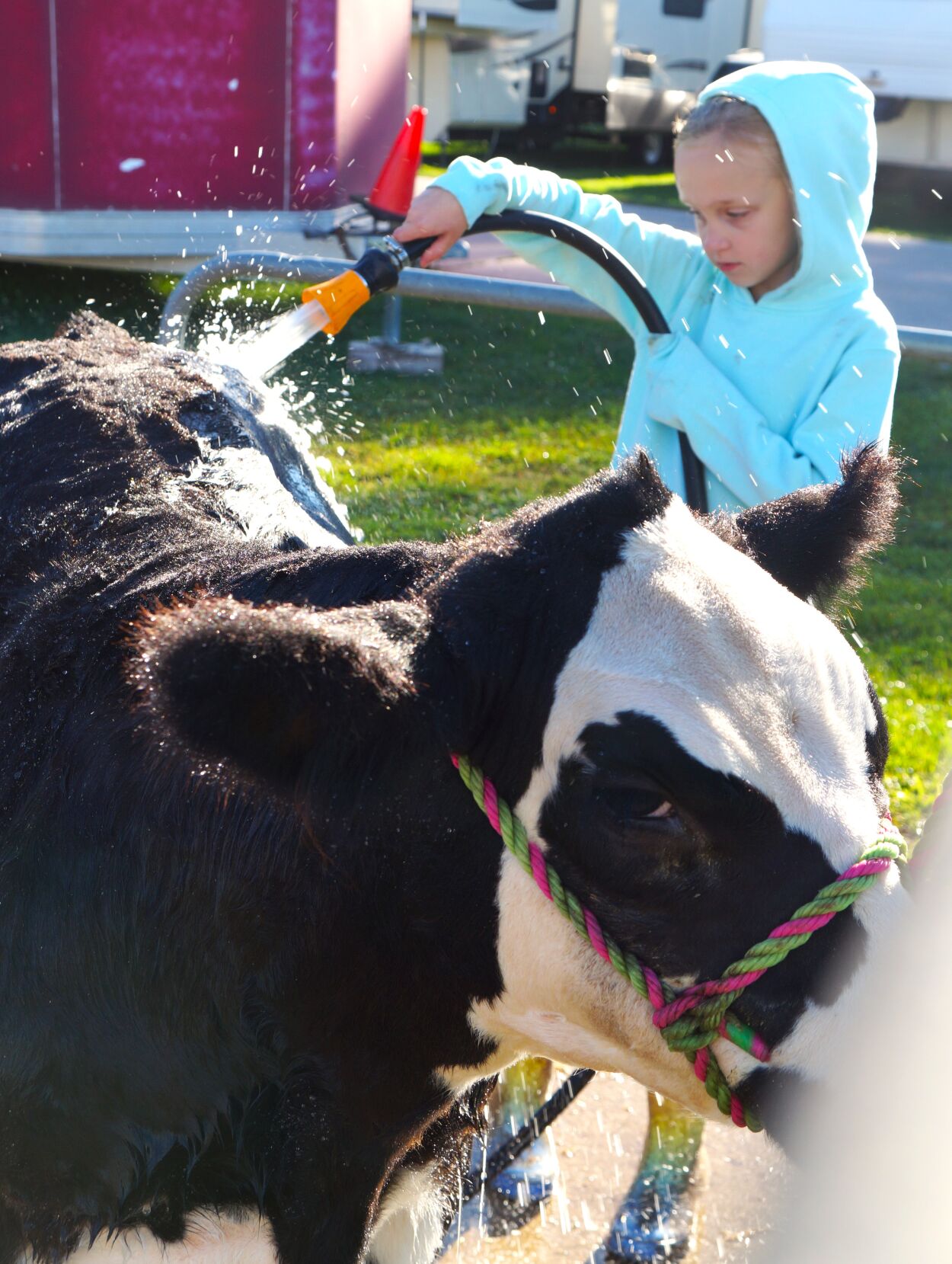 Early morning chores at the 2023 Walworth County Fair