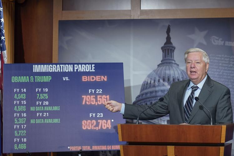 Senate Immigration