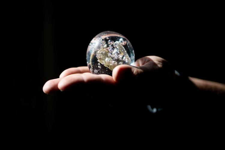 Buffalo Brewing Company creates Golden Snowbeer with snow from the 2022 blizzard