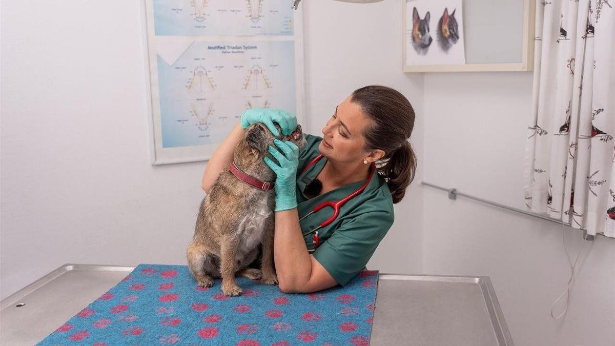 It's not just bad breath: Good dental health means a healthier pet