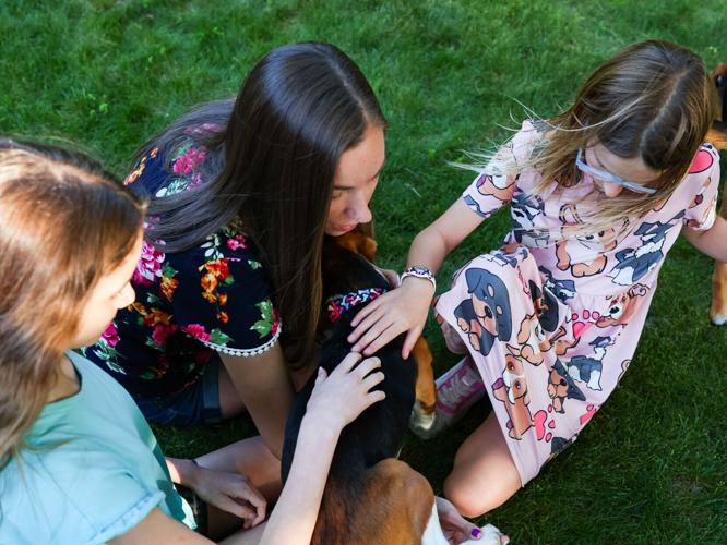 Family adopts Ridglan beagle