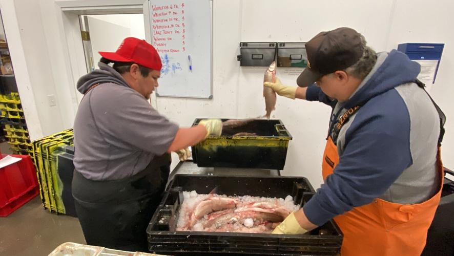 Red Cliff Fish Company