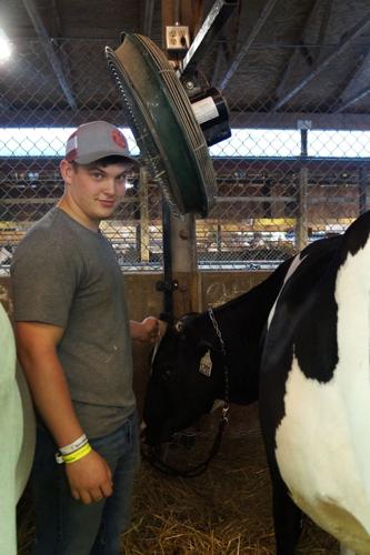 Sharon 4H Club member Connar Schell exhibits a spring yearling Holstein at the 2023 Wisconsin State Fair